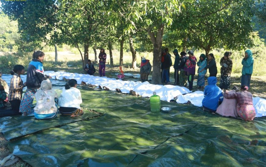 အာဏာသိမ်းပြီးနောက် ရခိုင်မှာ သေဆုံးသူ ၅၆၉ ဦးရှိပြီး ၄၅၂ ဦး ဖမ်းဆီးခံထားရ